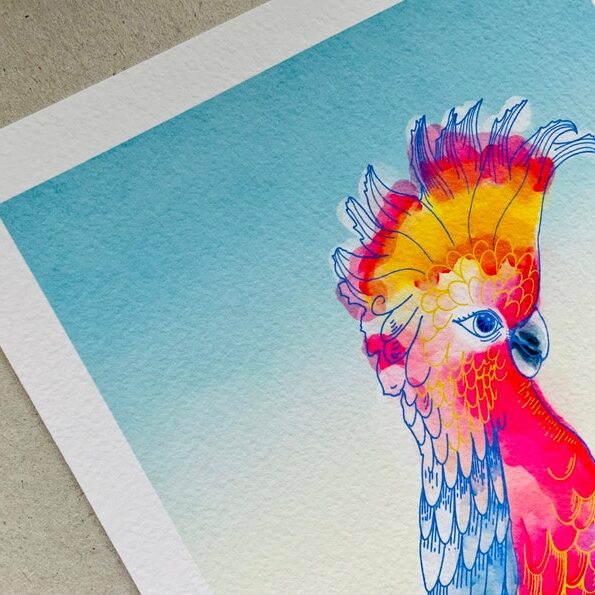 Cockatoo - Giclée print