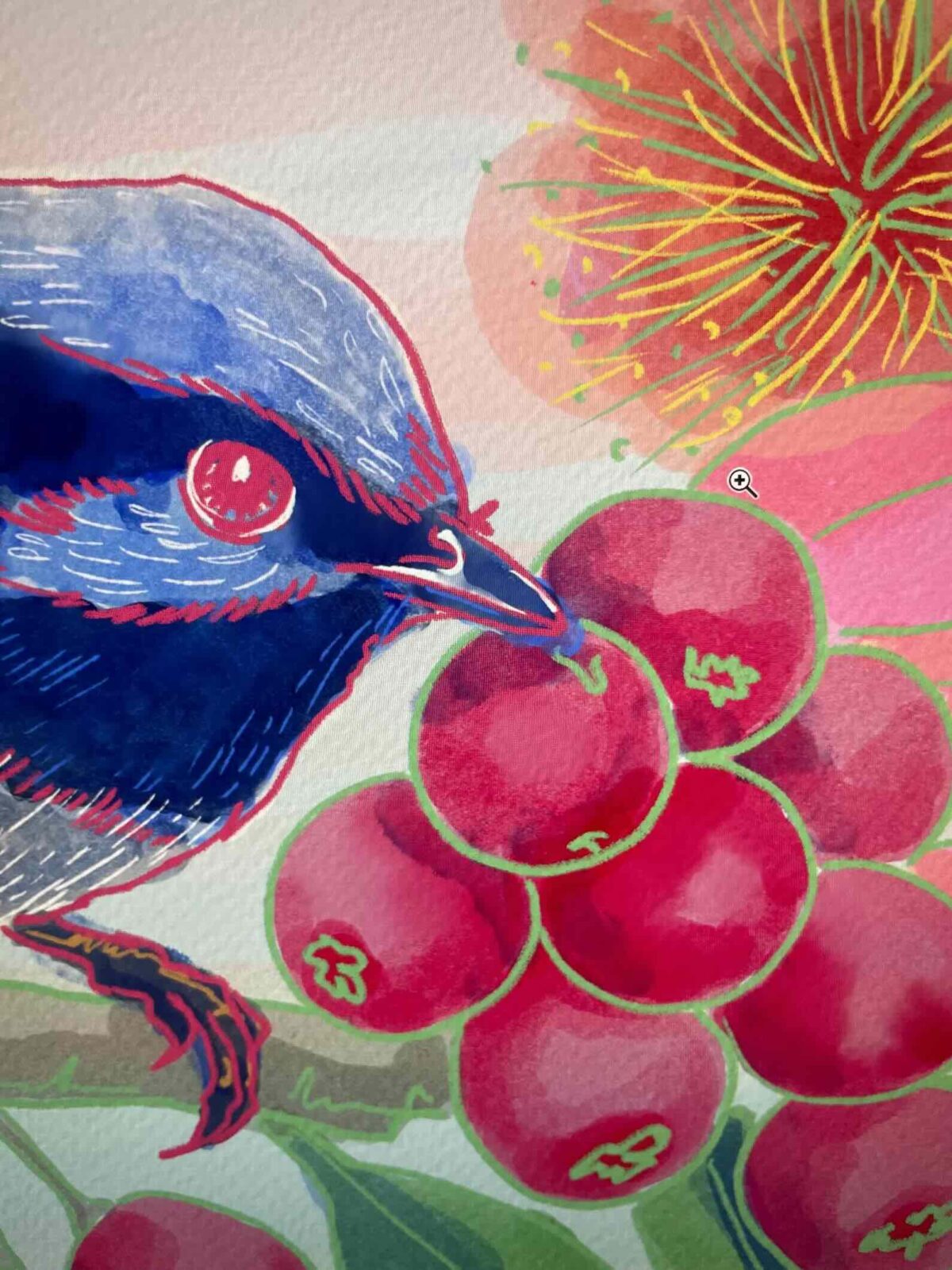 fairy wren 1