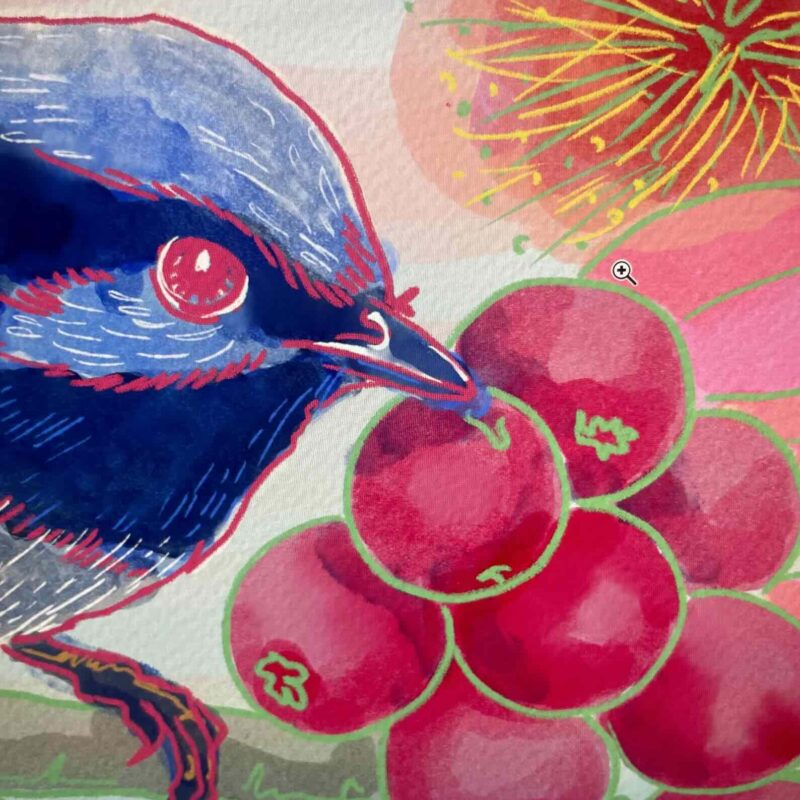 Fairy Wren Bird & Lilly Pilly  - Giclée print