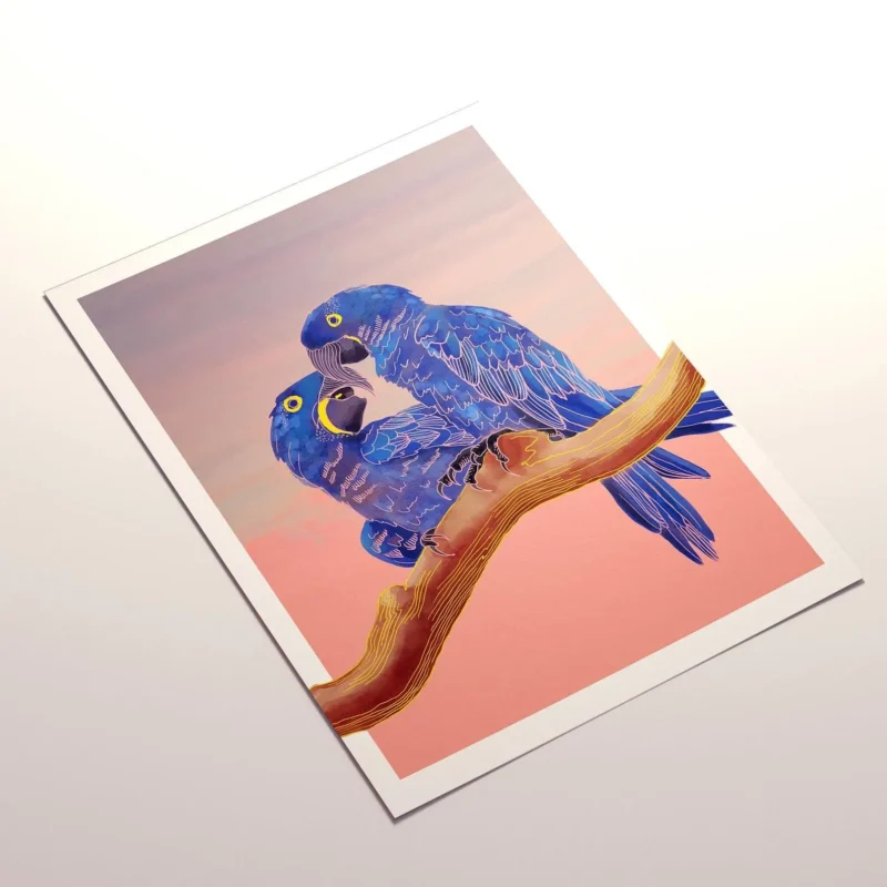 Hyacinth Macaws - Giclée print